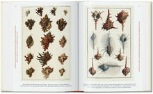 Load image into Gallery viewer, Seba. Cabinet of Natural Curiosities