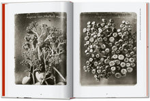 Load image into Gallery viewer, Karl Blossfeldt. The Complete Published Work. 40th Ed.
