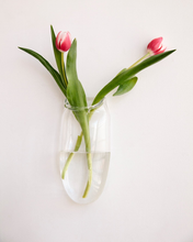 Load image into Gallery viewer, Wall Vase in Clear