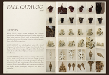 Load image into Gallery viewer, Efflorescence