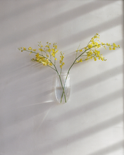 Load image into Gallery viewer, Wall Vase in Clear