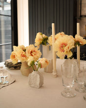 Load image into Gallery viewer, White Lichen Candlestick