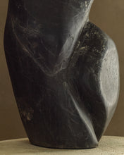 Load image into Gallery viewer, Sculpture No. 264