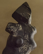 Load image into Gallery viewer, Sculpture No. 264