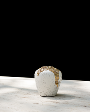 Load image into Gallery viewer, Esme Vase in Crawl Metallic