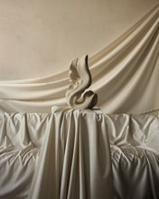 Load image into Gallery viewer, Rebirth