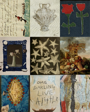 Load image into Gallery viewer, Shell Venus Vase