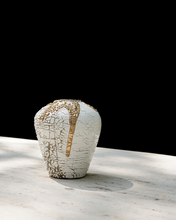 Load image into Gallery viewer, Esme Vase in Crawl Metallic