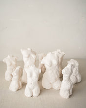 Load image into Gallery viewer, Flow Torso