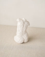 Load image into Gallery viewer, Curve Torso