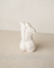 Load image into Gallery viewer, Curve Torso