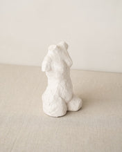 Load image into Gallery viewer, Curve Torso