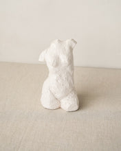 Load image into Gallery viewer, Curve Torso