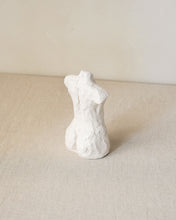 Load image into Gallery viewer, Flow Torso