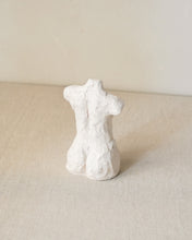 Load image into Gallery viewer, Flow Torso