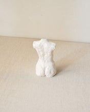 Load image into Gallery viewer, Sway Torso