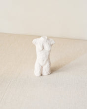 Load image into Gallery viewer, Fold Torso