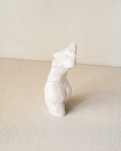 Load image into Gallery viewer, Smooth Torso