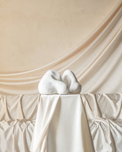 Load image into Gallery viewer, Vestige