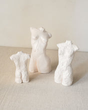 Load image into Gallery viewer, Smooth Torso