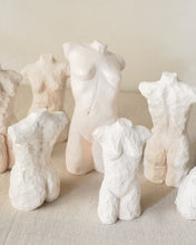 Load image into Gallery viewer, Sway Torso