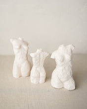 Load image into Gallery viewer, Smooth Torso