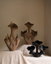 Load image into Gallery viewer, Coarse Tale