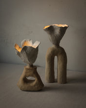 Load image into Gallery viewer, From The Ancient Seas II