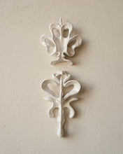 Load image into Gallery viewer, Orchid