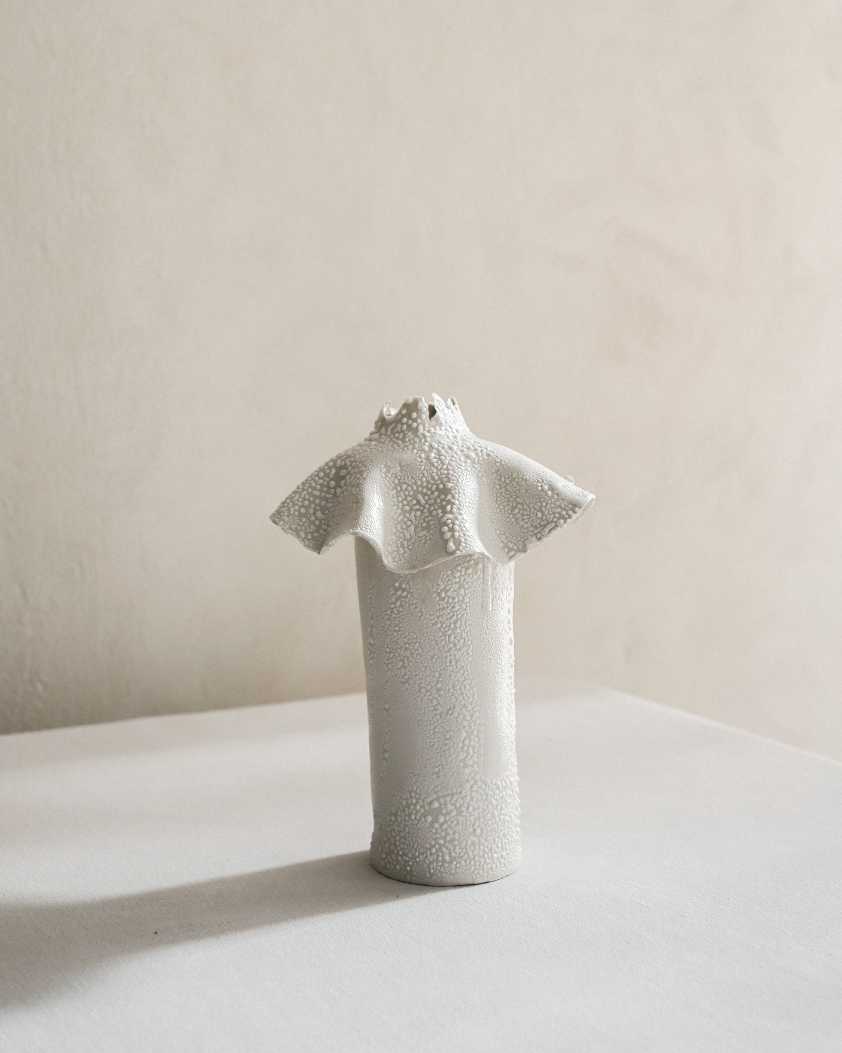Barnacle Vase in White Lichen