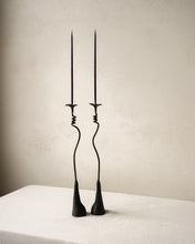 Load image into Gallery viewer, Cattleyas