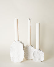 Load image into Gallery viewer, White Lichen Candlestick