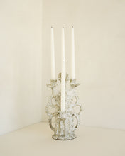 Load image into Gallery viewer, Candelabra Shell