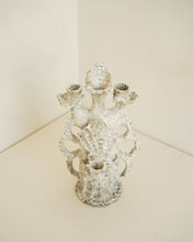 Load image into Gallery viewer, Candelabra Shell
