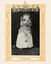 Load image into Gallery viewer, Adornment White