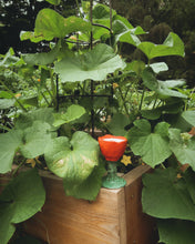 Load image into Gallery viewer, Siren's Garden Candle