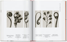 Load image into Gallery viewer, Karl Blossfeldt. The Complete Published Work. 40th Ed.