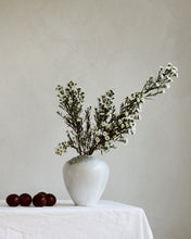 Load image into Gallery viewer, Esme Vase in Froth