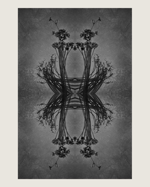 fine art print