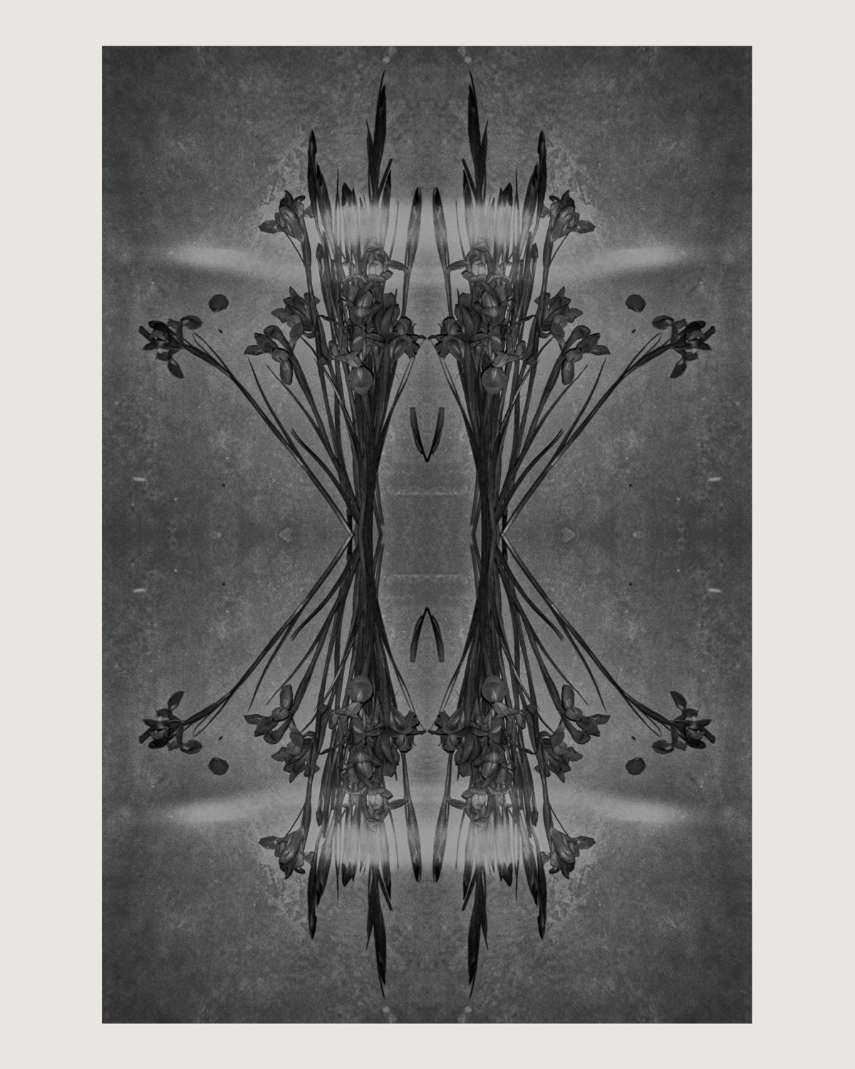 Ä’mergere Print