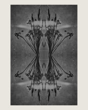 Load image into Gallery viewer, Ä’mergere Print