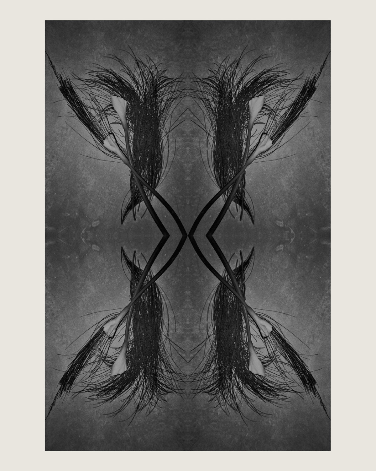 fine art print