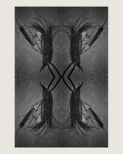Load image into Gallery viewer, fine art print