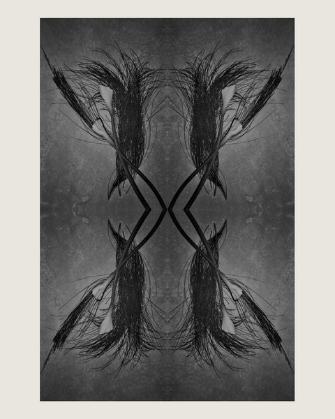 fine art print