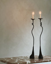 Load image into Gallery viewer, Cattleyas