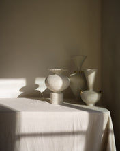 Load image into Gallery viewer, Isolated n.11