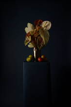 Load image into Gallery viewer, Cylinder Vase in Silver Mirror