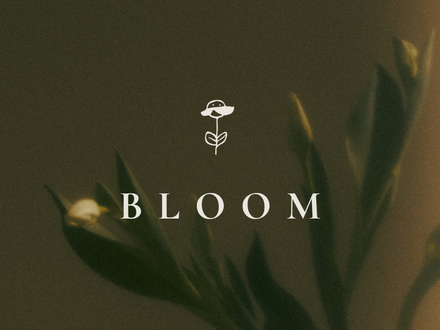 NOTES ON BLOOM