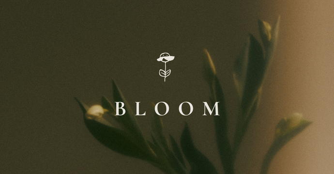 NOTES ON BLOOM