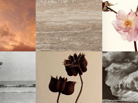 BRANDING BEAUTY WITH JANEMADE